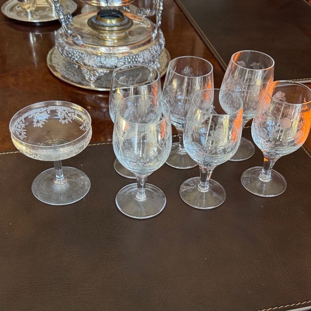 Vintage Rare Elegant Etched Floral Cordial Glass Set